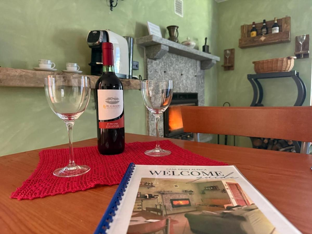 Alpaca's House: green, animals & lake view - Housity