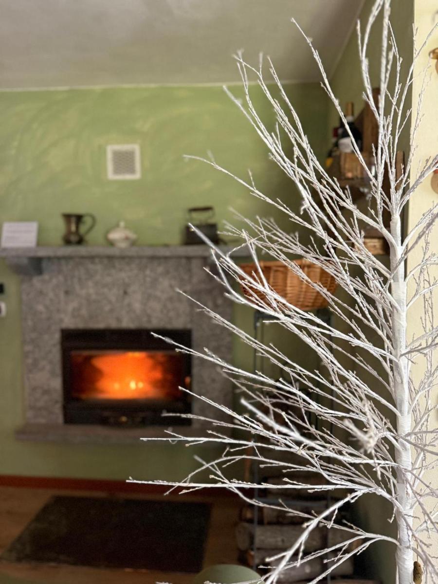Alpaca's House: green, animals & lake view - Housity
