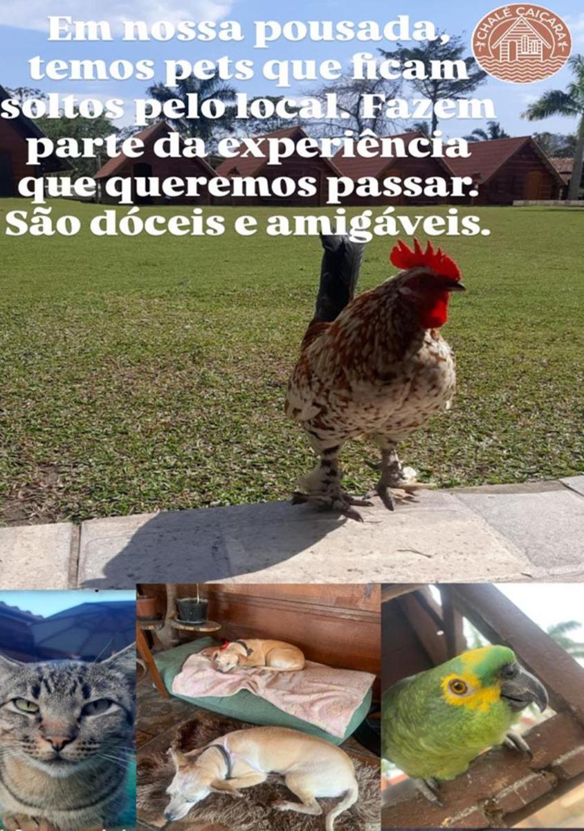 Chalé Caiçara - Housity