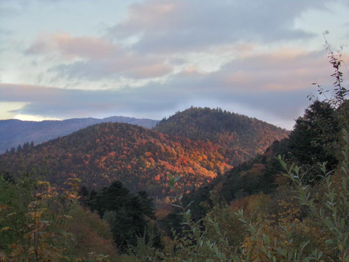 Paysage naturel près de l'hôtel
