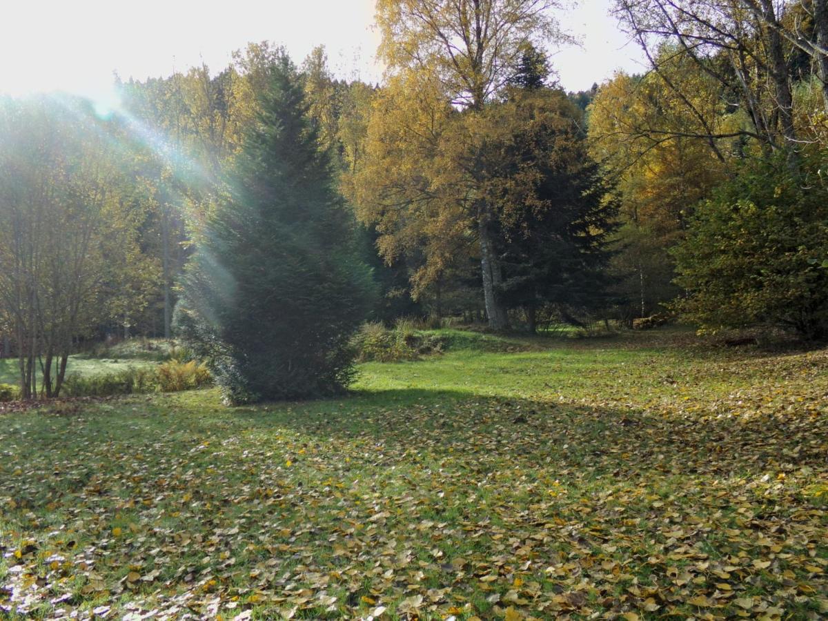 Paysage naturel près de l'hôtel