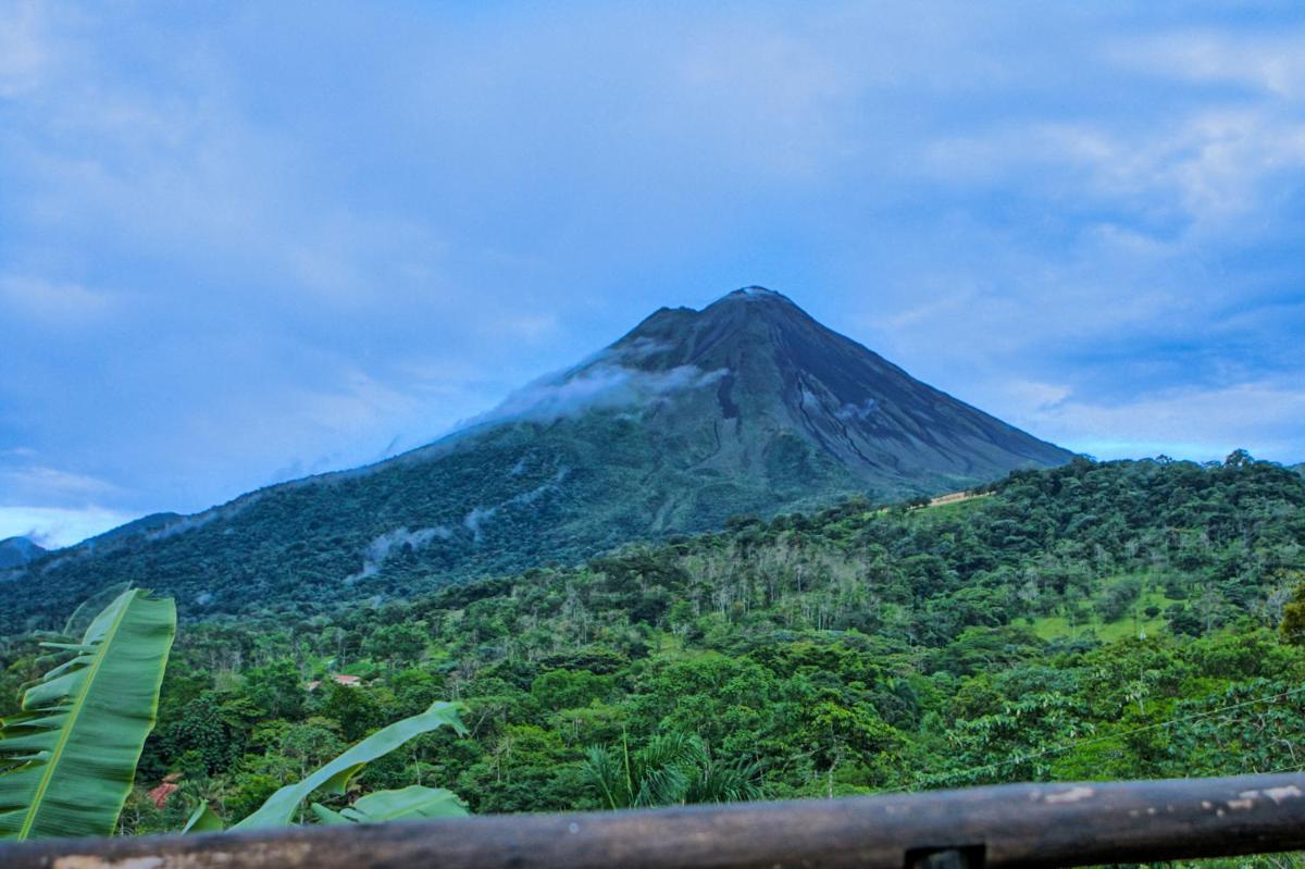Hotel Mountain Paradise - Housity