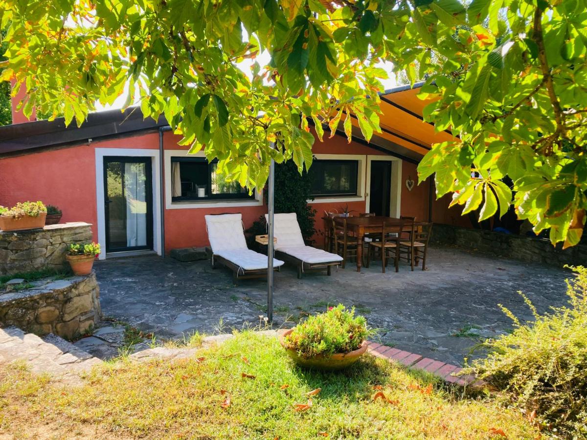 Il Belvedere Holiday house in the Tuscan - Housity