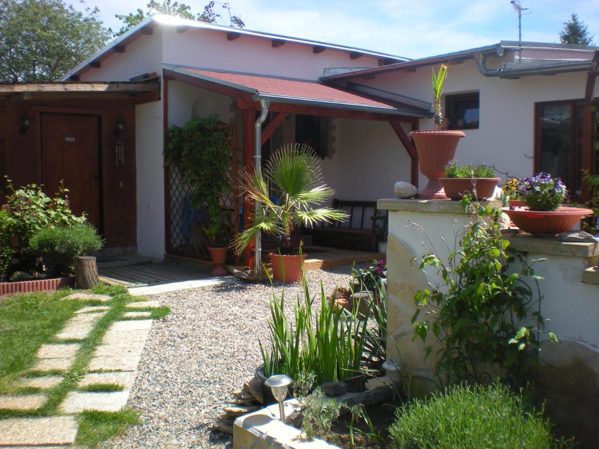 Sophia Cozy Self Catering Apartment - Housity