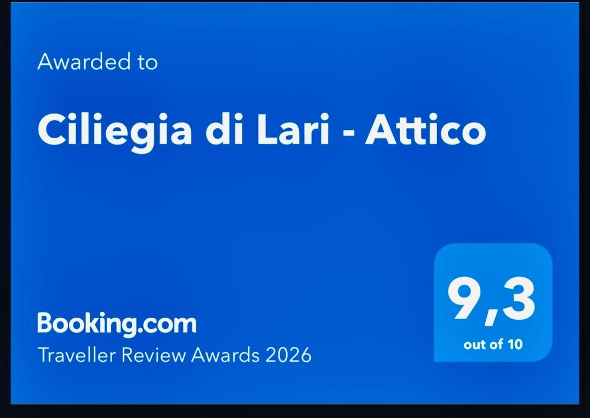 Ciliegia di Lari - Attico - Housity