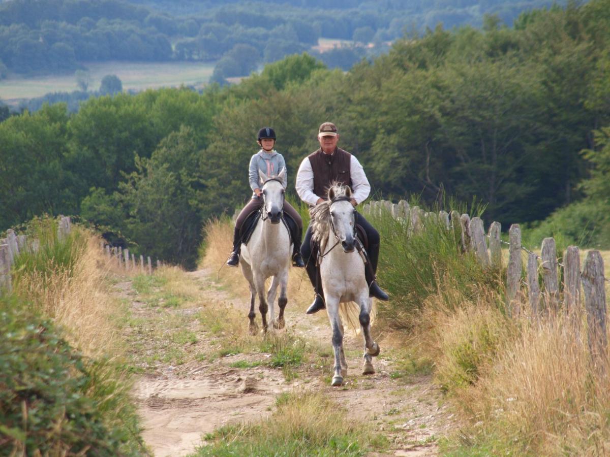 Domaine Les Teuillères - Housity