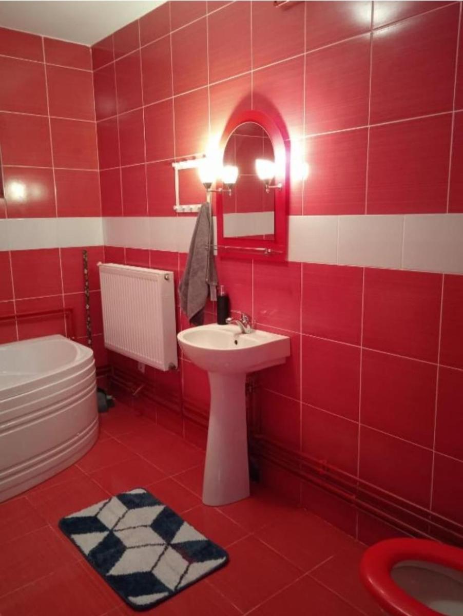 Vila Sabo- Casa de vacanta cu lac de pescuit si ciubar cu hidromasaj - Housity