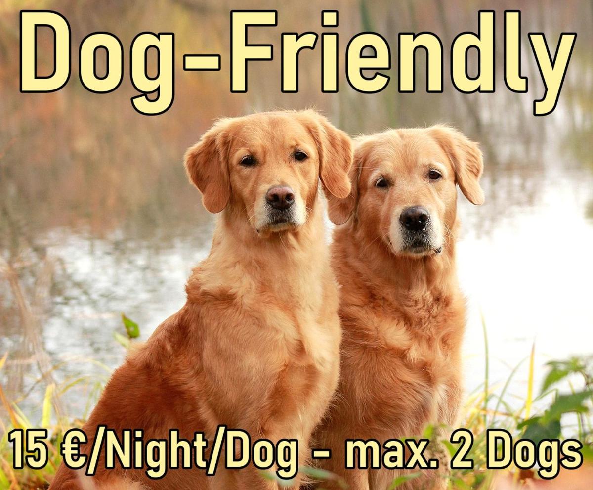 Chalet Sinswang am Hochgrat - Housity