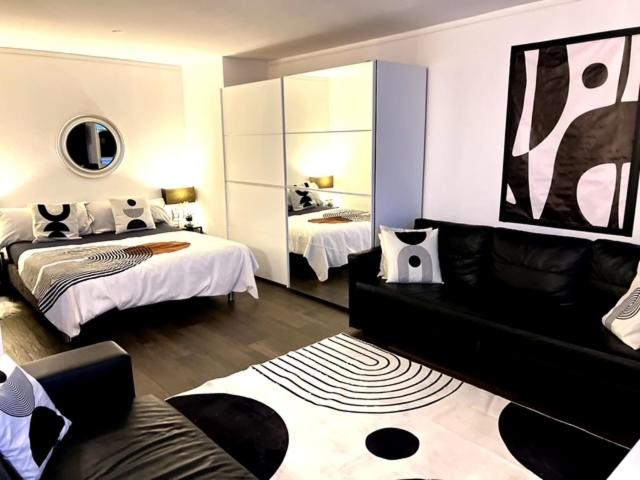 Big Suite Studio - Hizvo