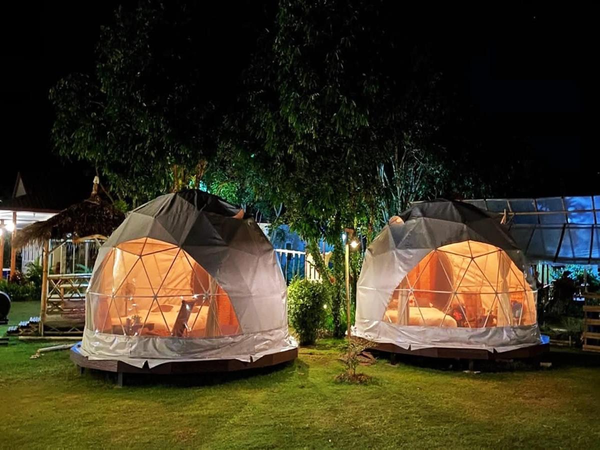 Lion Cafe Resort - Housity