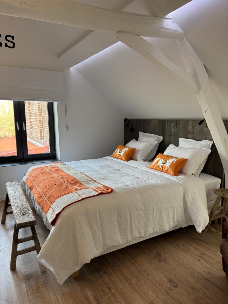 B&B Bodegem - Housity