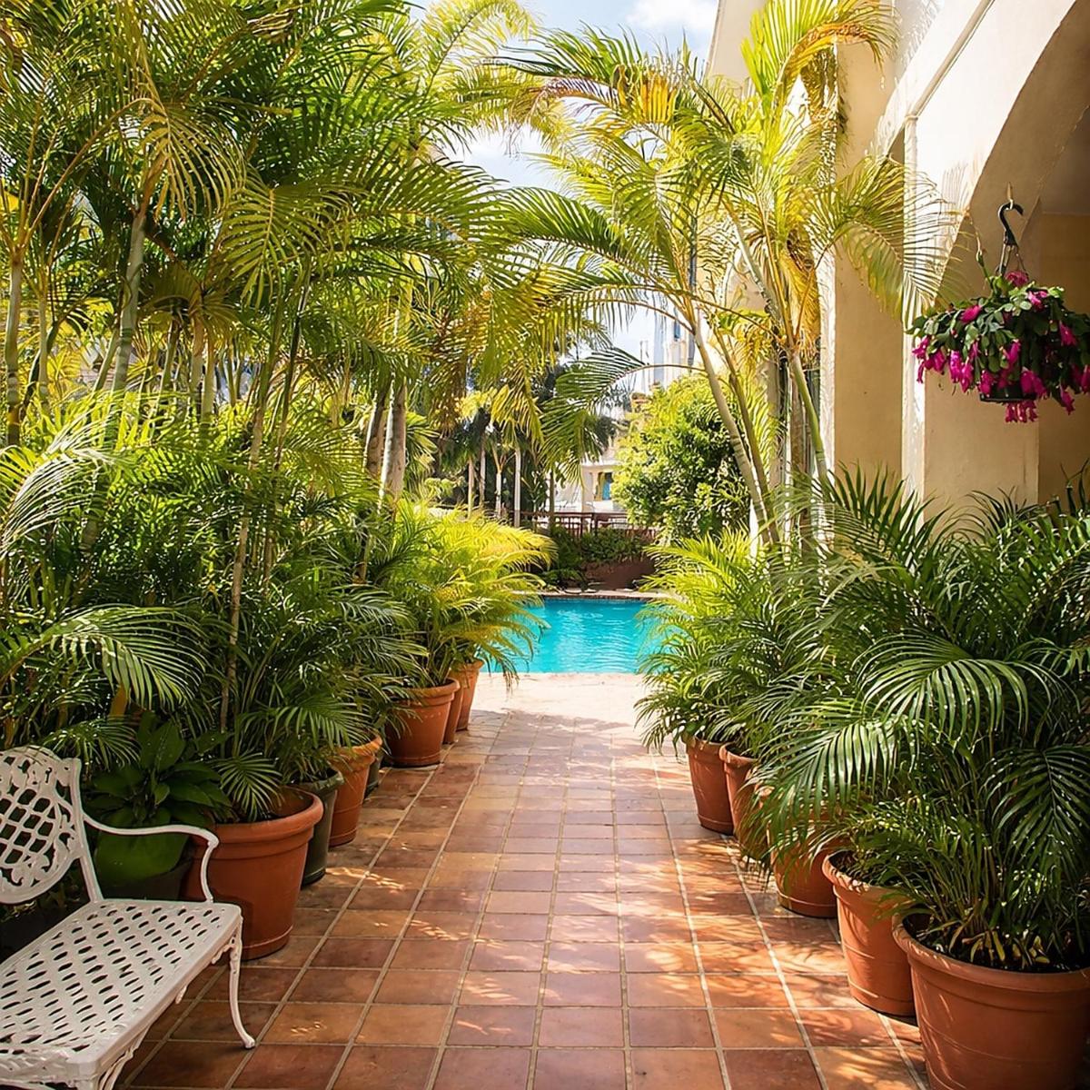 Coral Princess Hotel - Housity