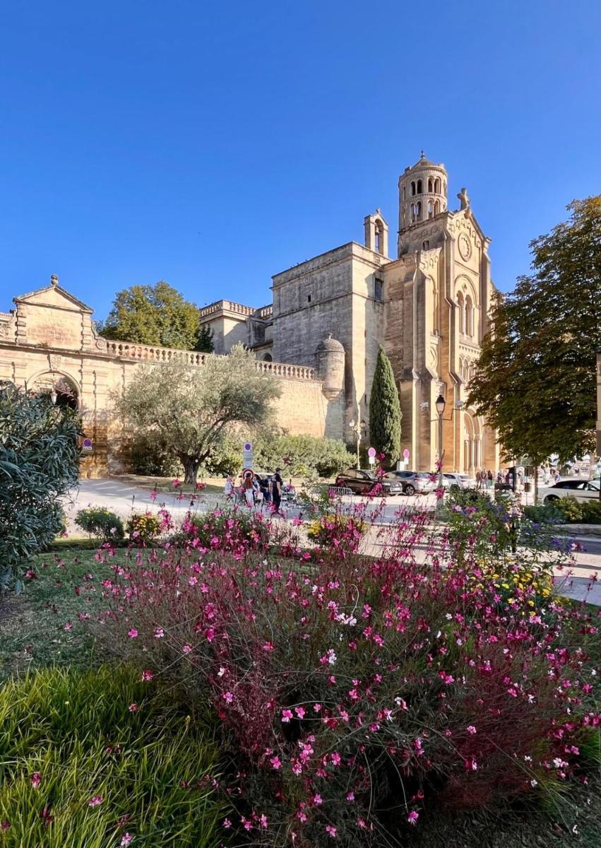 Jardin de l'établissement CÉRÈS - Boutique-Hôtel & Spa
