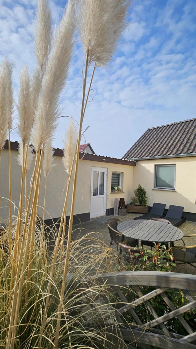 Ferienhaus an der Ostsee - Housity