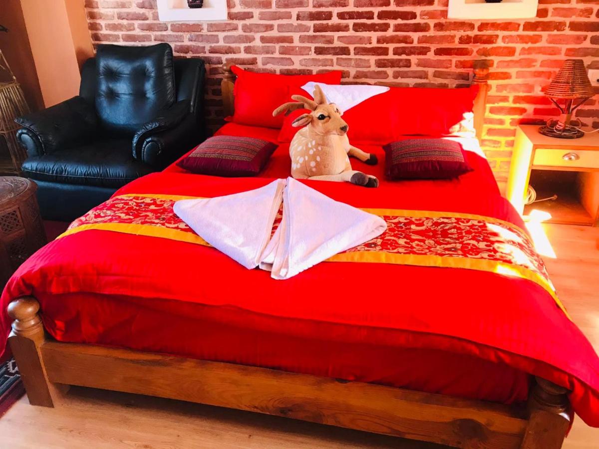 Blue Mountain Home Stay - Housity