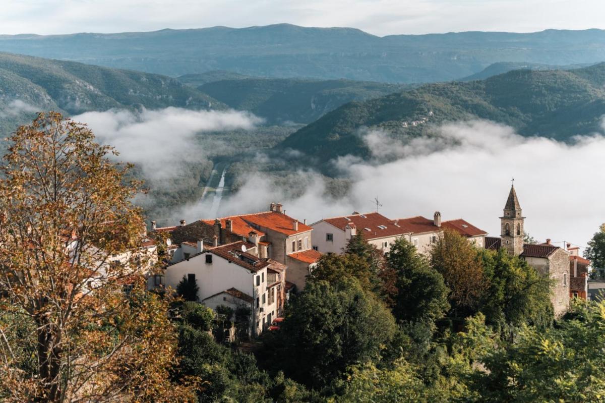 The View - Housity