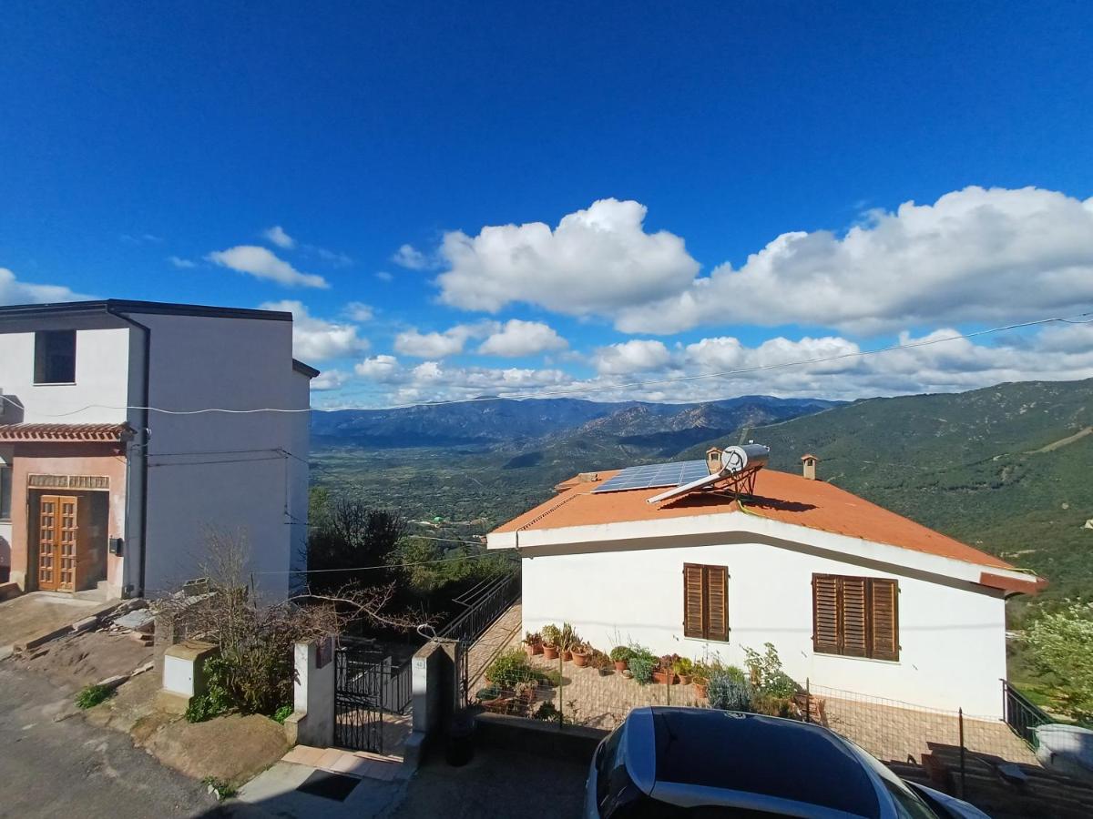 La dépendance di Andreina - Housity