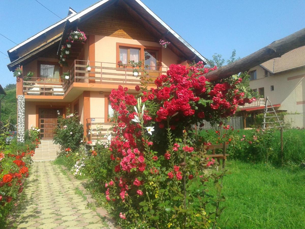 Nopti de Vara Transfăgărășan - Housity
