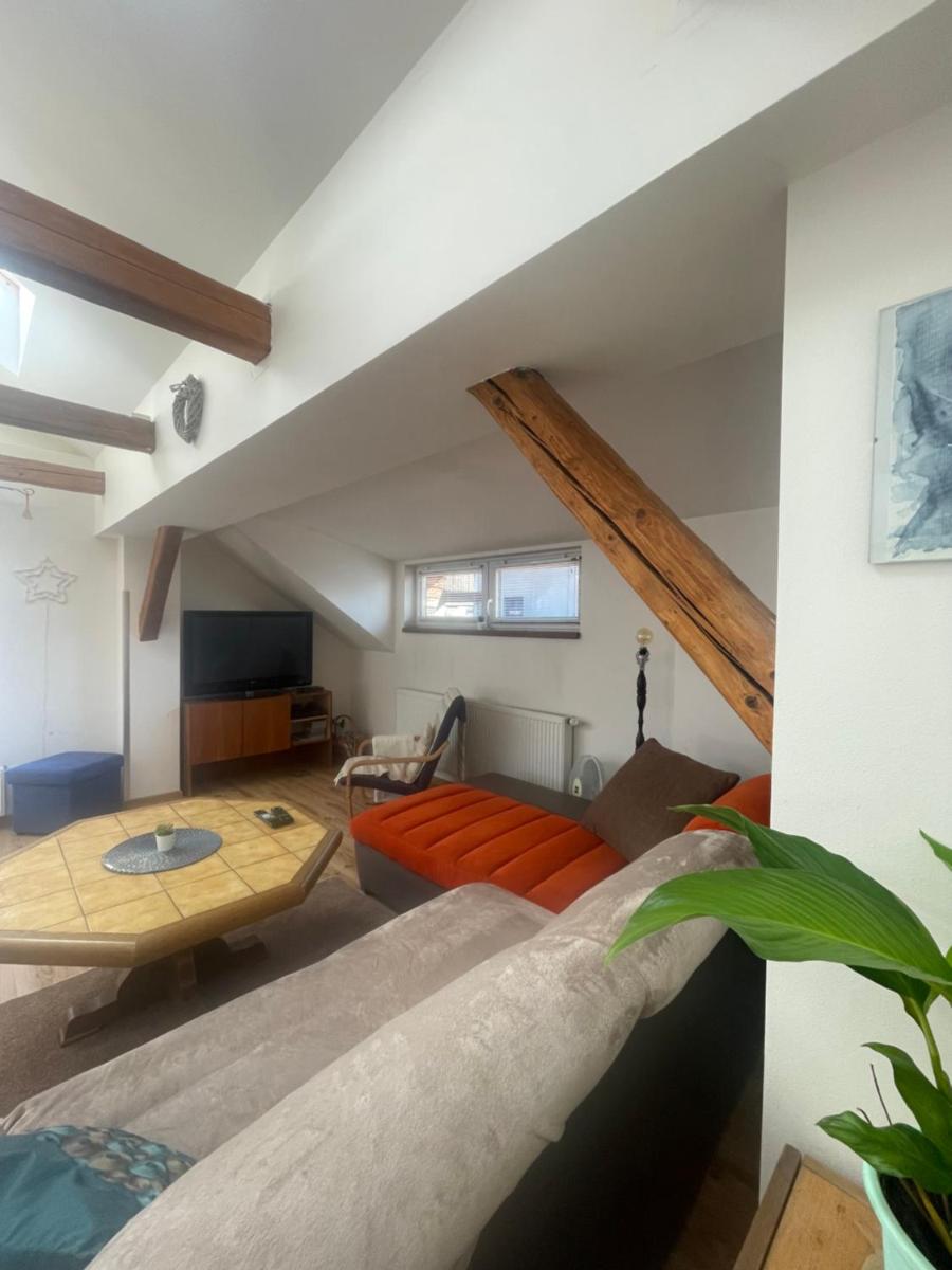 Apartment Krkonošská - Housity