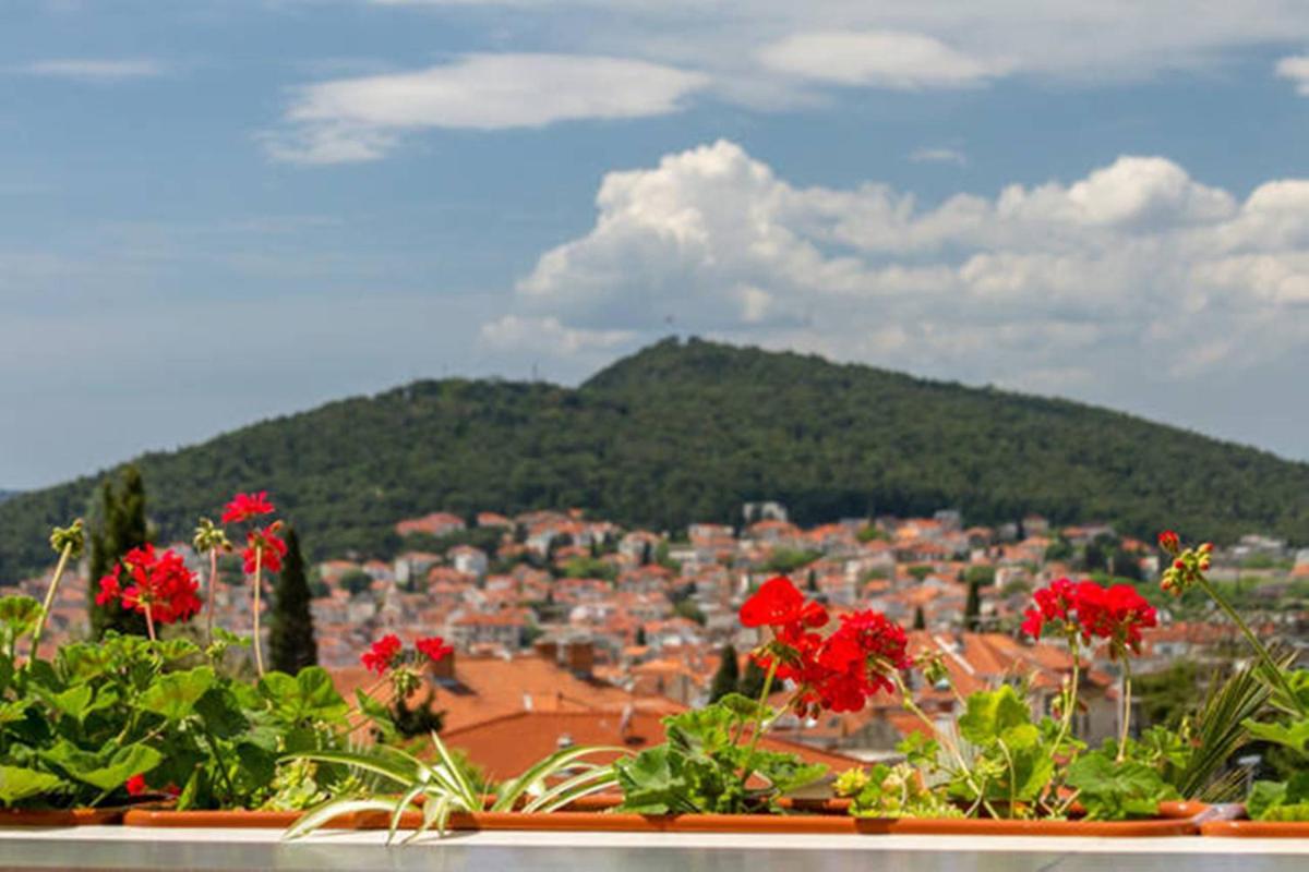 Apartment Palm Penthouse Terrace - Housity