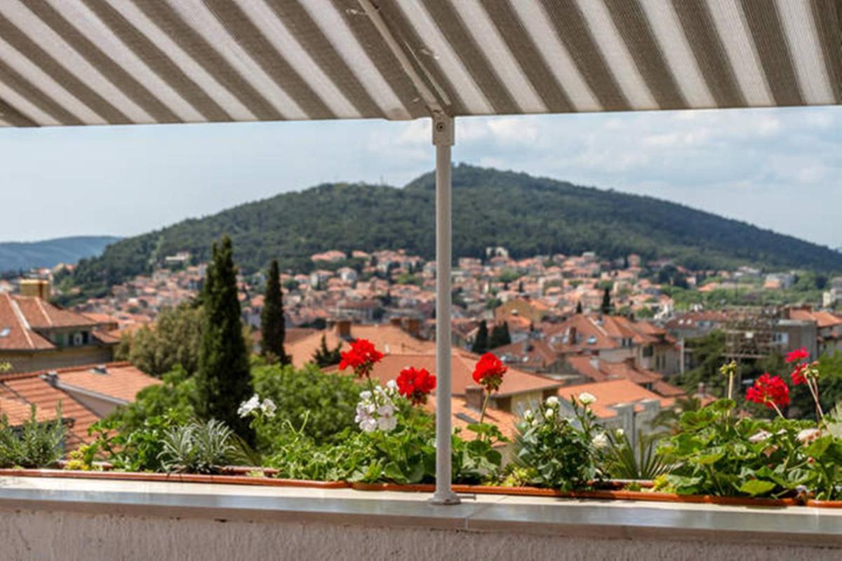 Apartment Palm Penthouse Terrace - Housity