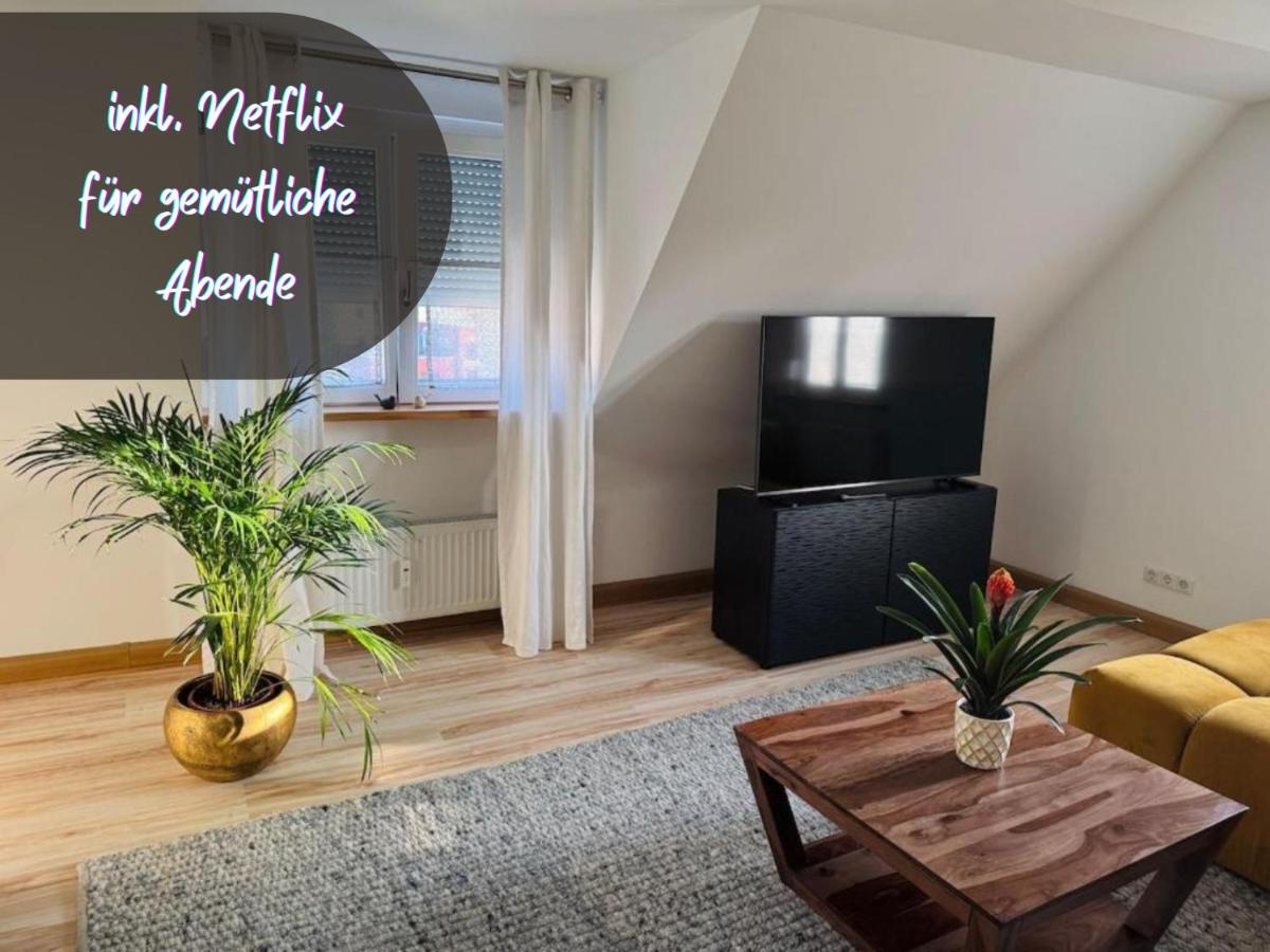 Main-Nest Volkach - Housity