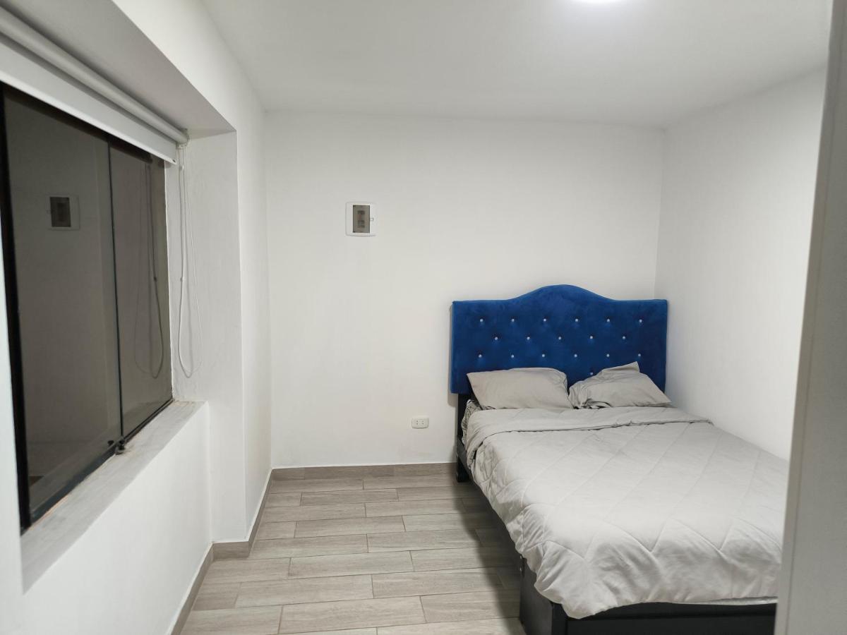 Lince Céntrico Modern, Bright and Beautiful - Housity