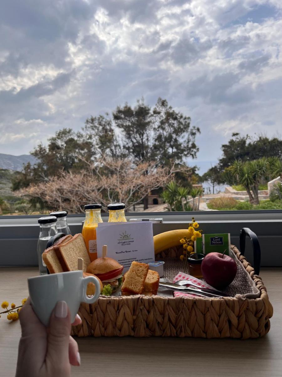 Chrysonisos Suites with Sunset & Seaviews near Kini - Housity