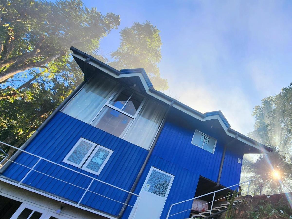 Kithul Cottage - Hizvo