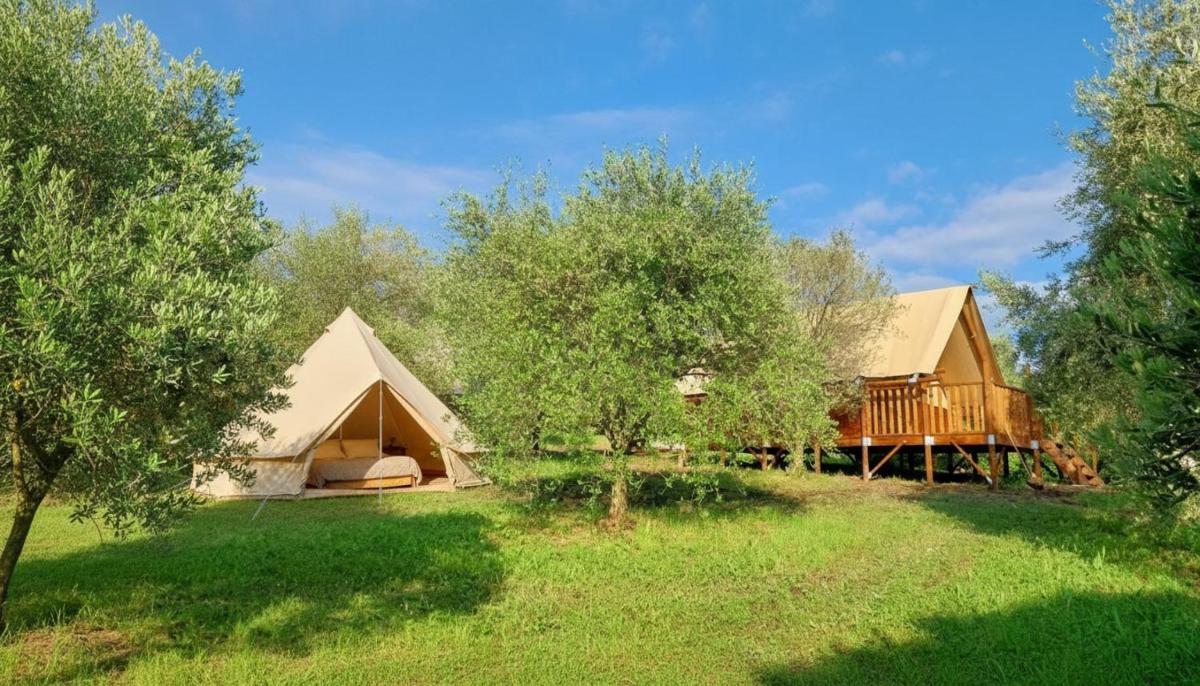 Glamping Il Bosco di Marino - Housity