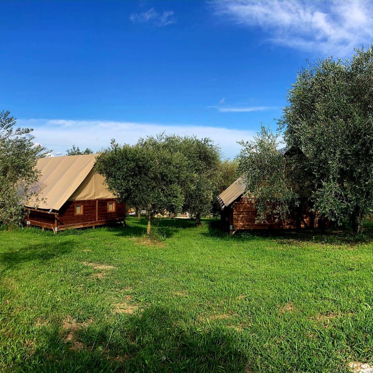 Glamping Il Bosco di Marino - Housity