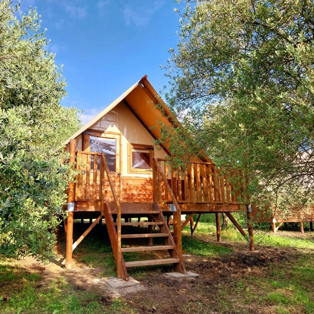Glamping Il Bosco di Marino - Housity