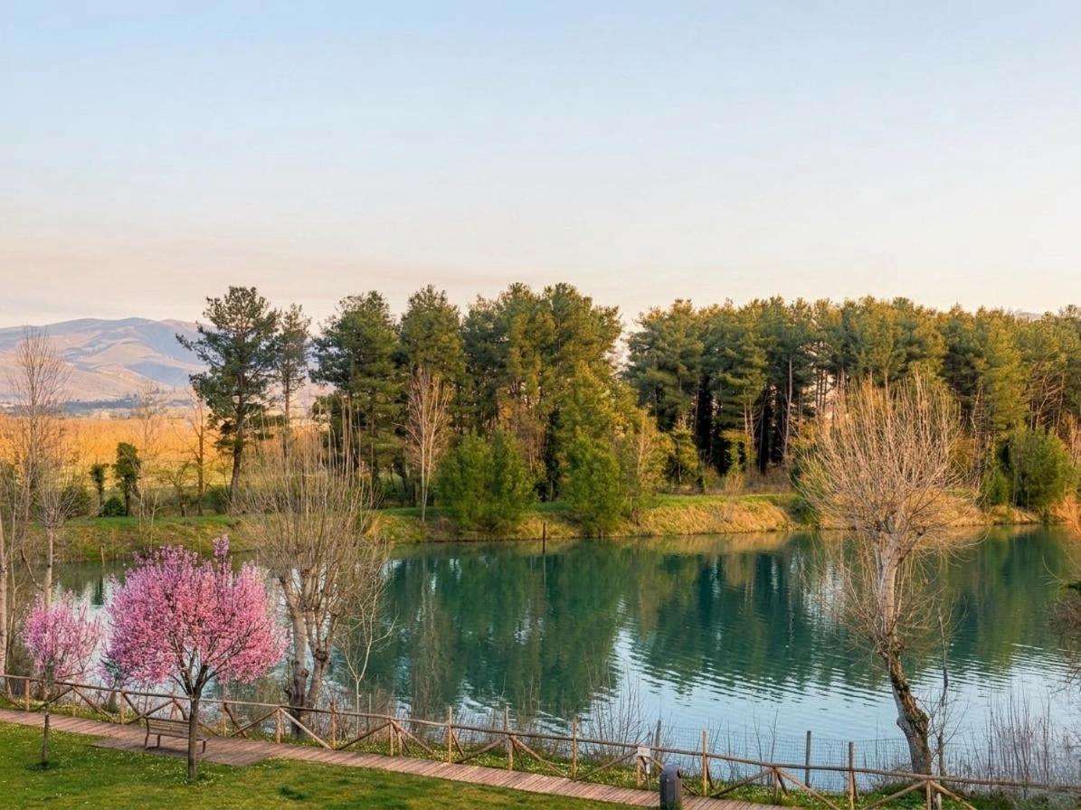 Cameracaffè sul Lago - Housity