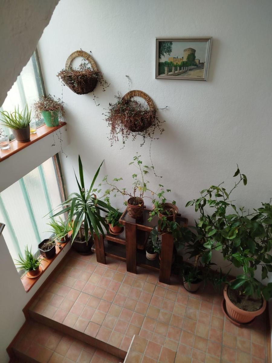 Fina Apartman - Hizvo