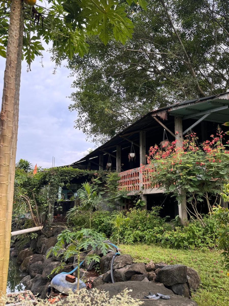Homestay tay - Housity