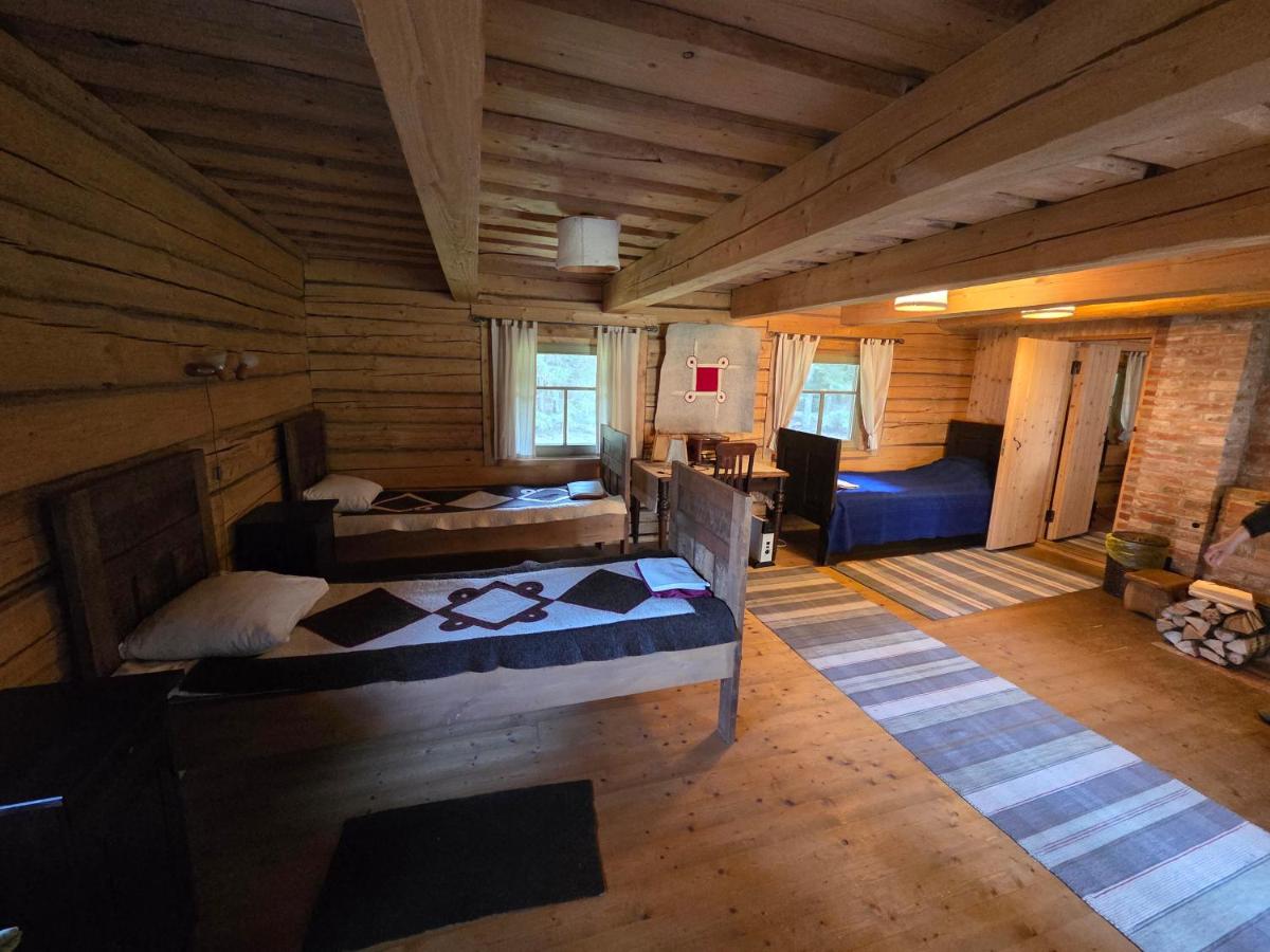 Männiku Metsatalu puhkemaja Vidiit - Housity