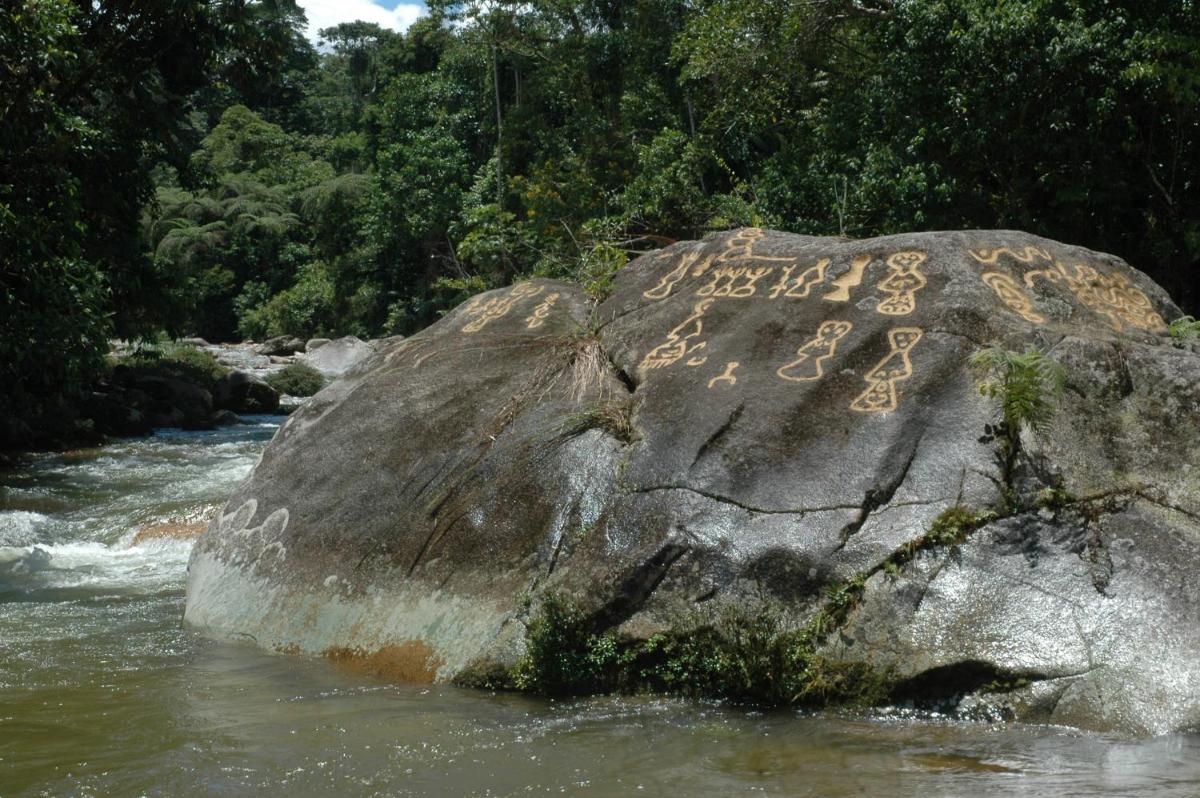 Hakuna Matata Amazon Lodge - Housity