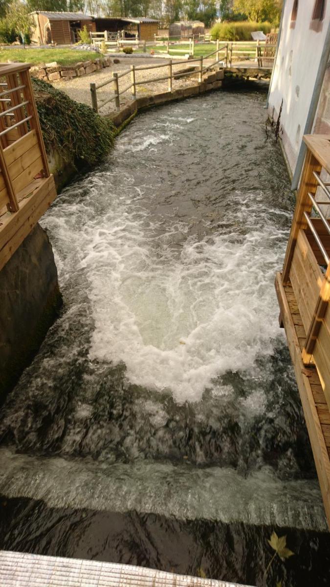 Photo de la galerie de l'établissement Le Moulin d'Oscar & Spa - Mulhouse Nord, à Baldersheim