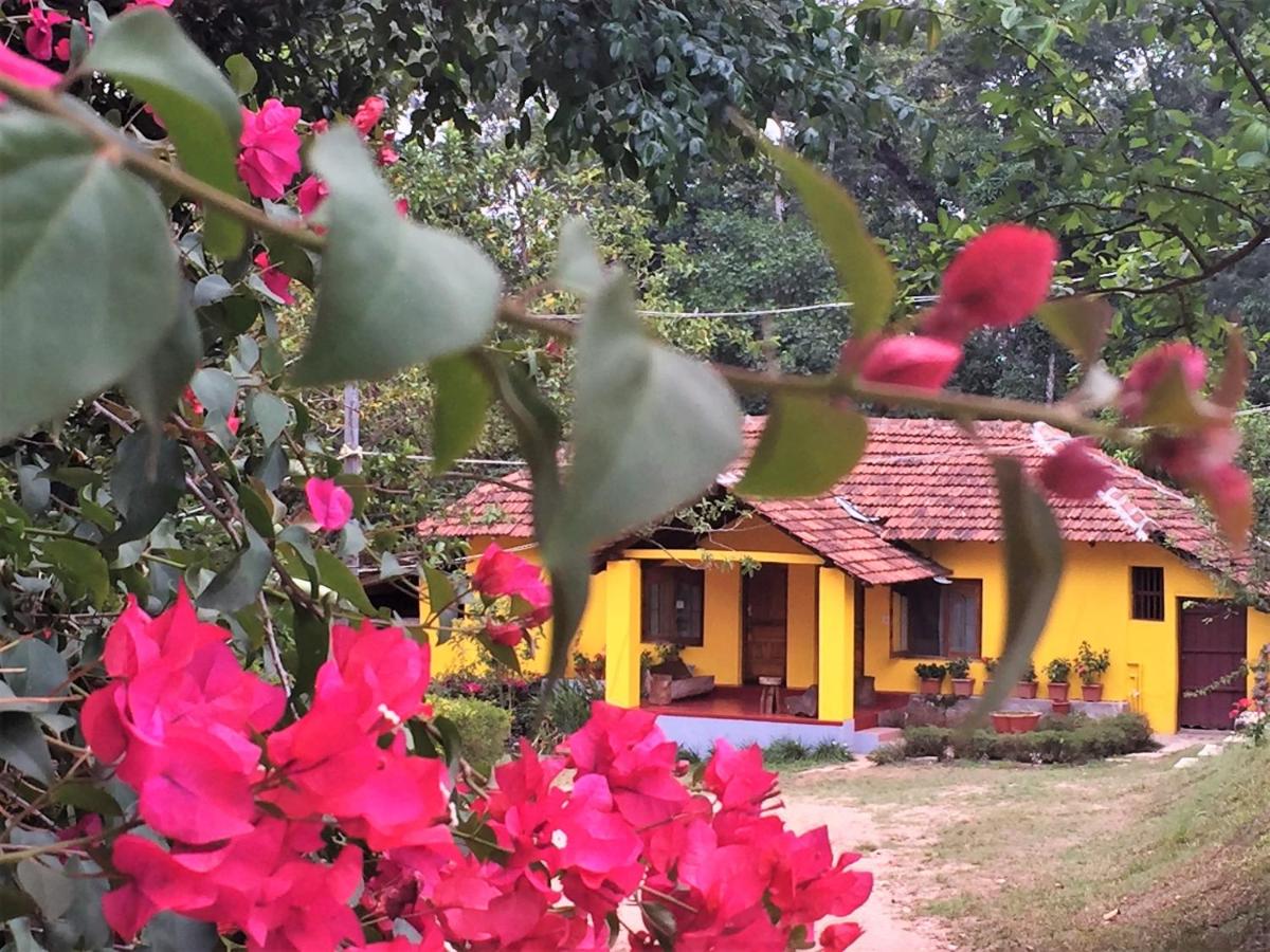 Guddadamane Homestay - Housity