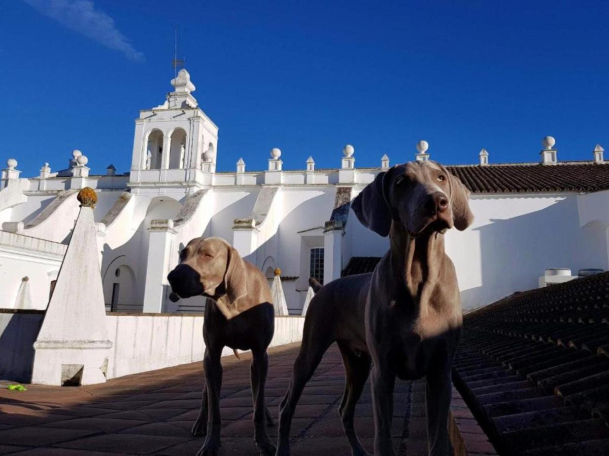 Animais no hotel ou nos arredores