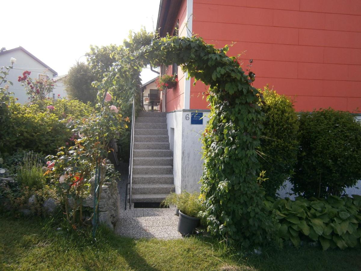 Apartment Darinka - Housity