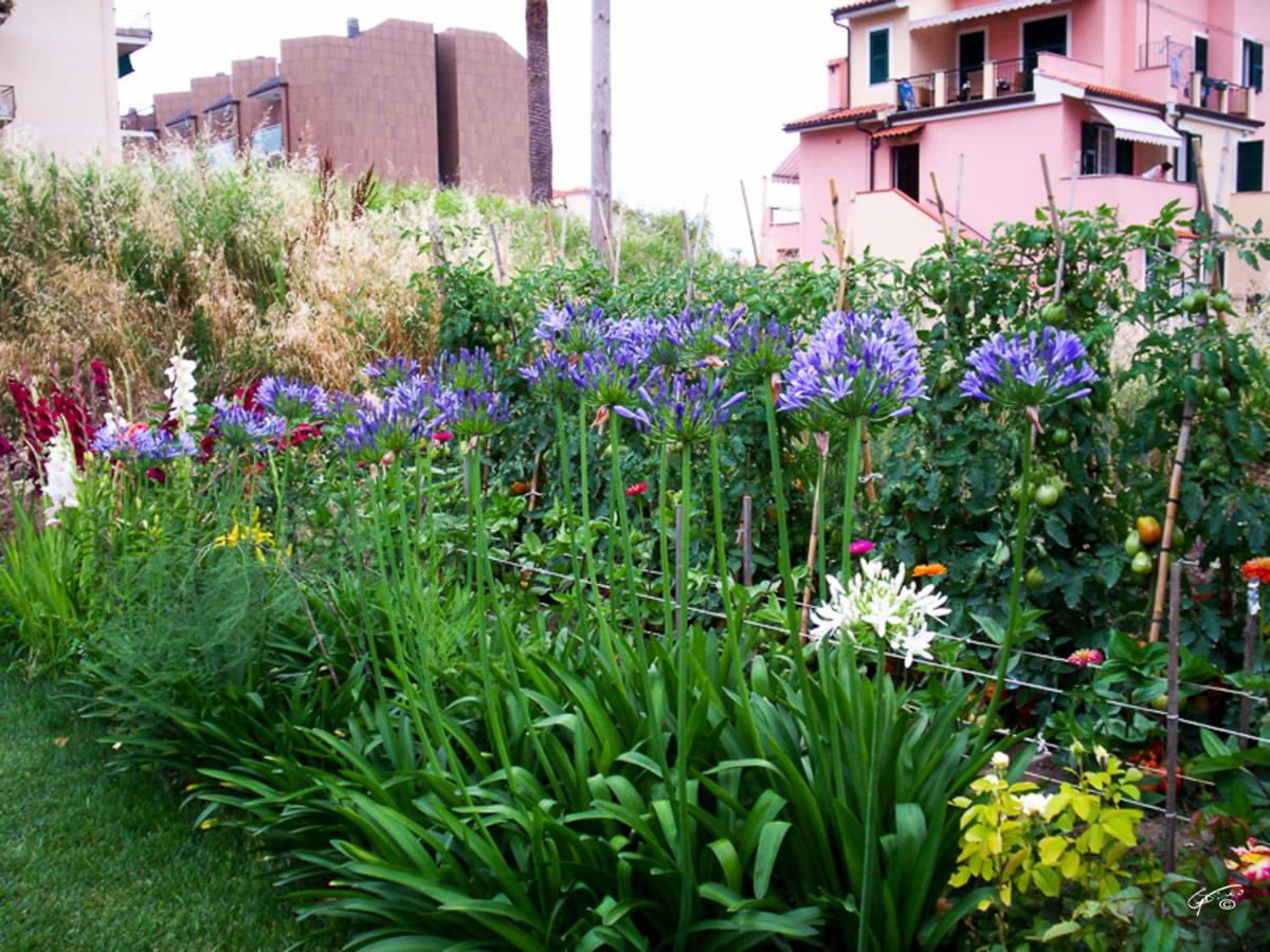 Guest House Arancia145 - Housity