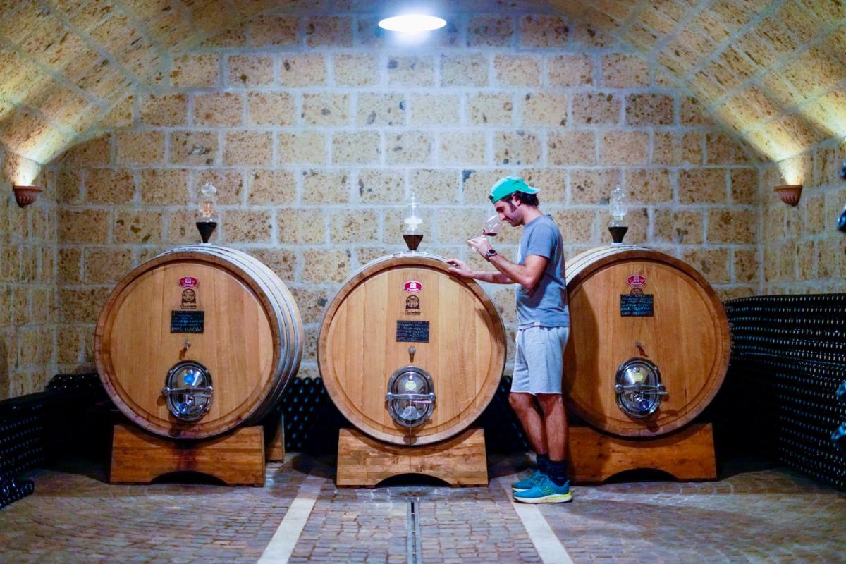 Fattoria Lucciano - Housity
