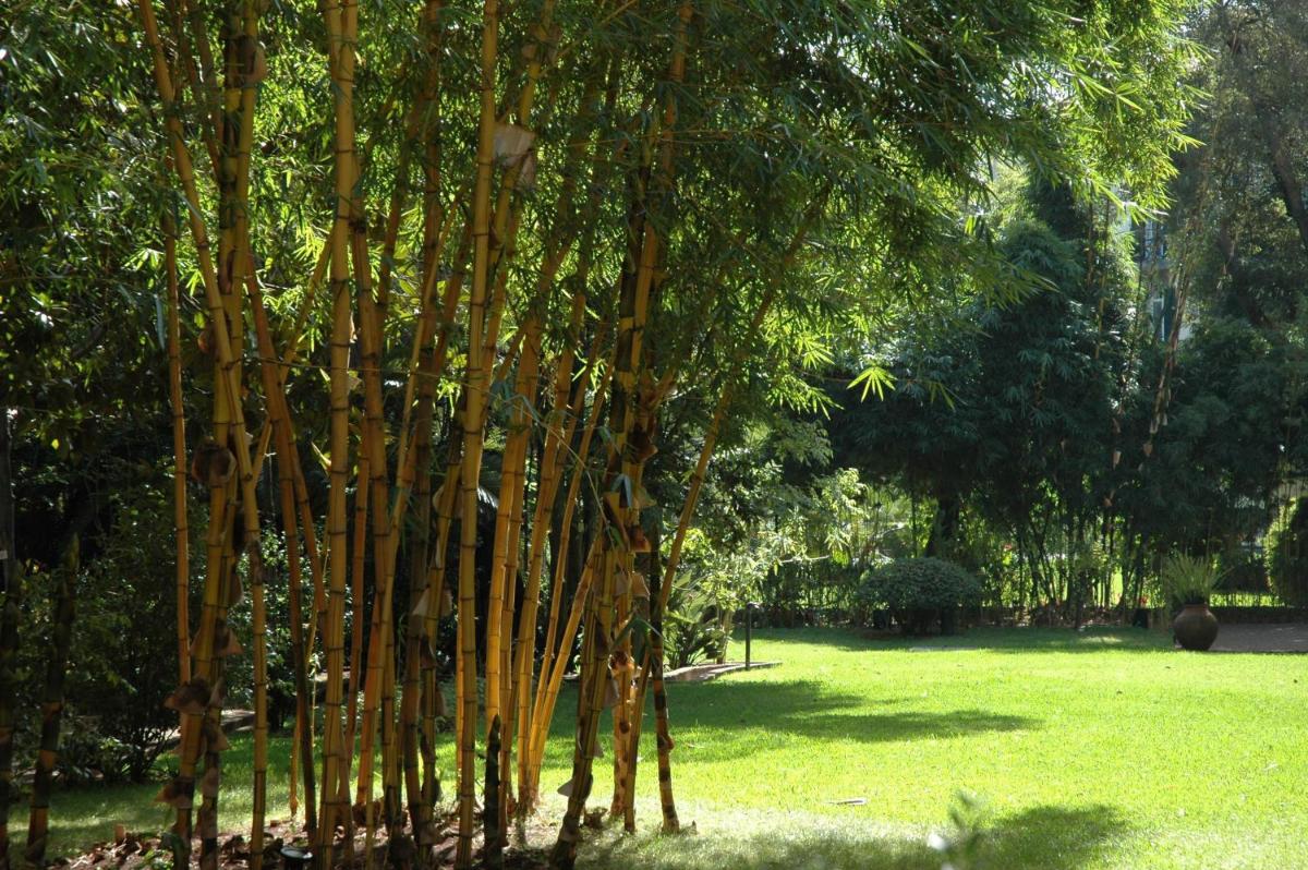 Um jardim no exterior de Quinta da Bela Vista