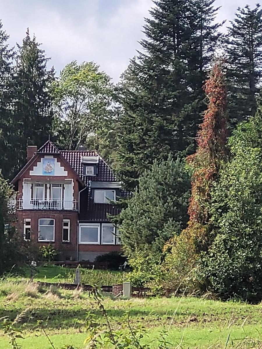 Ferienappartement im Waldhaus Göhrde - Housity