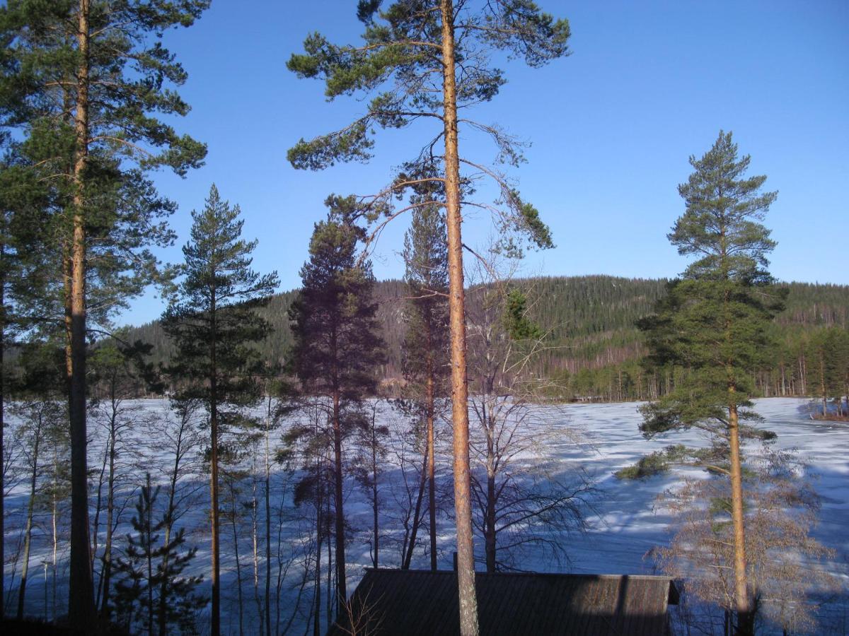 Kolin saunaharju - Housity