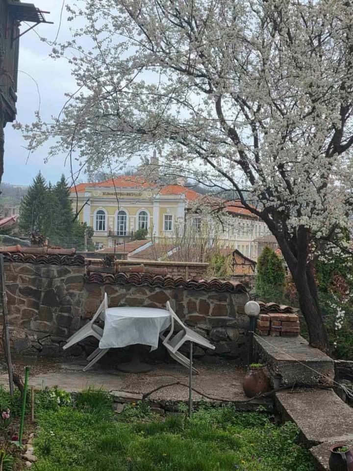 Guest House Selin - Housity