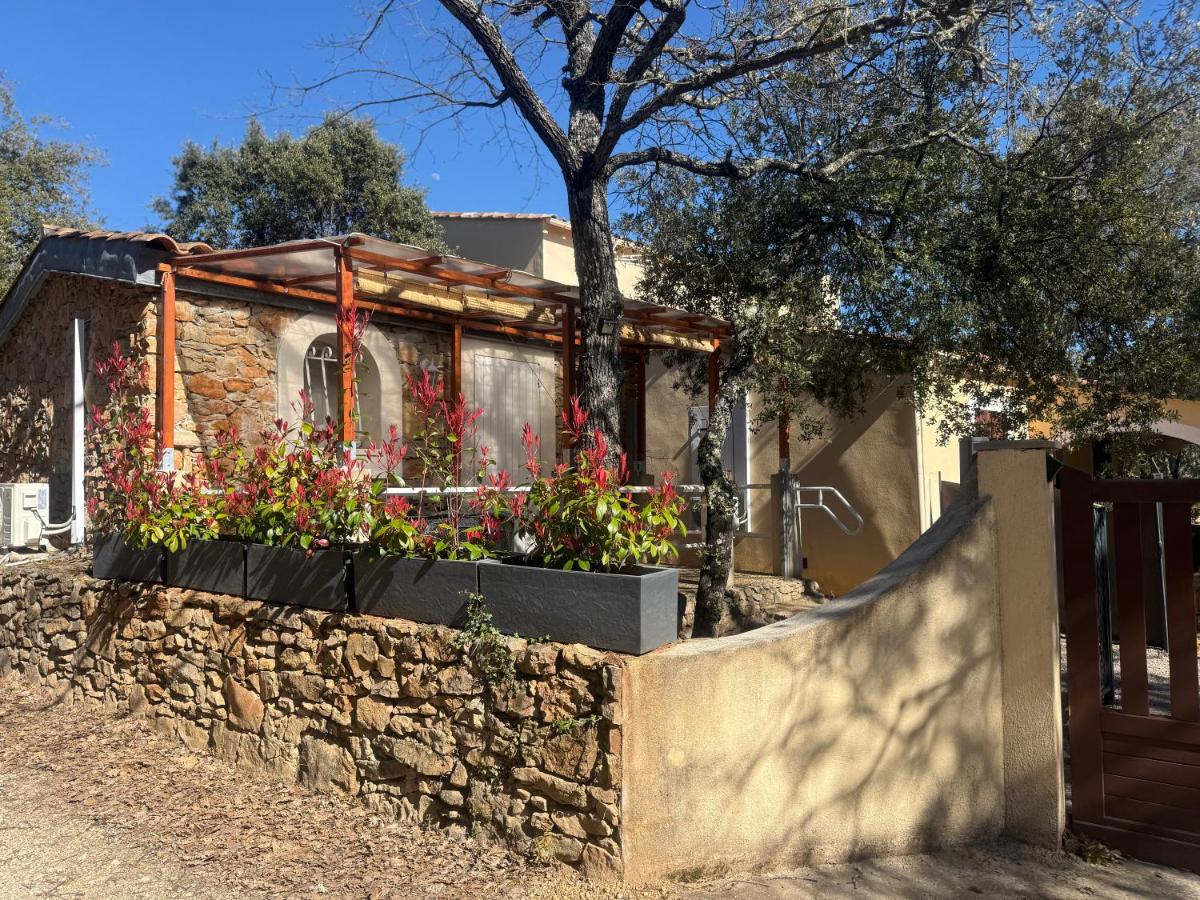 Le Cocon en pierre au coeur du Verdon et son spa en supplément gîte "Le Repos Des Chênes" - Housity