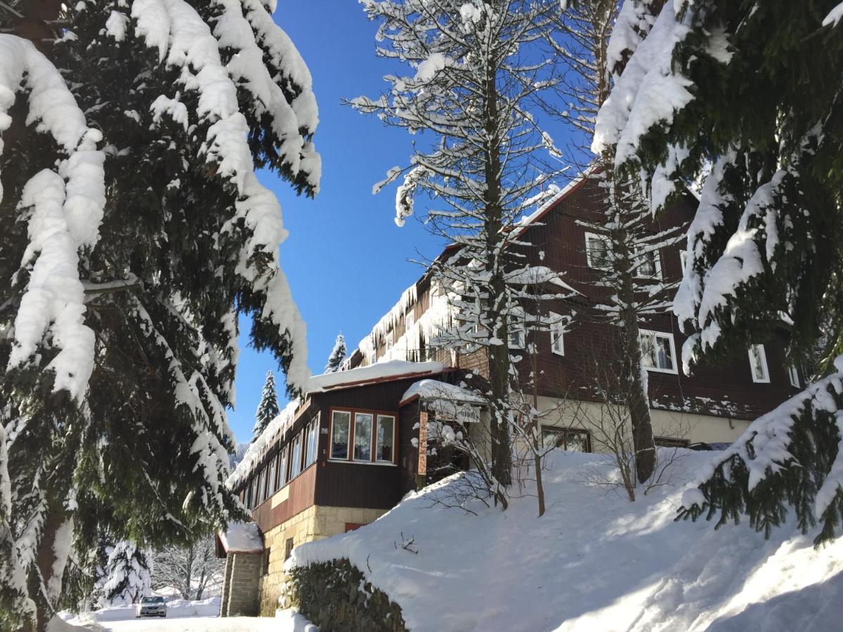Hotel Flora Dolní Mísečky - Housity