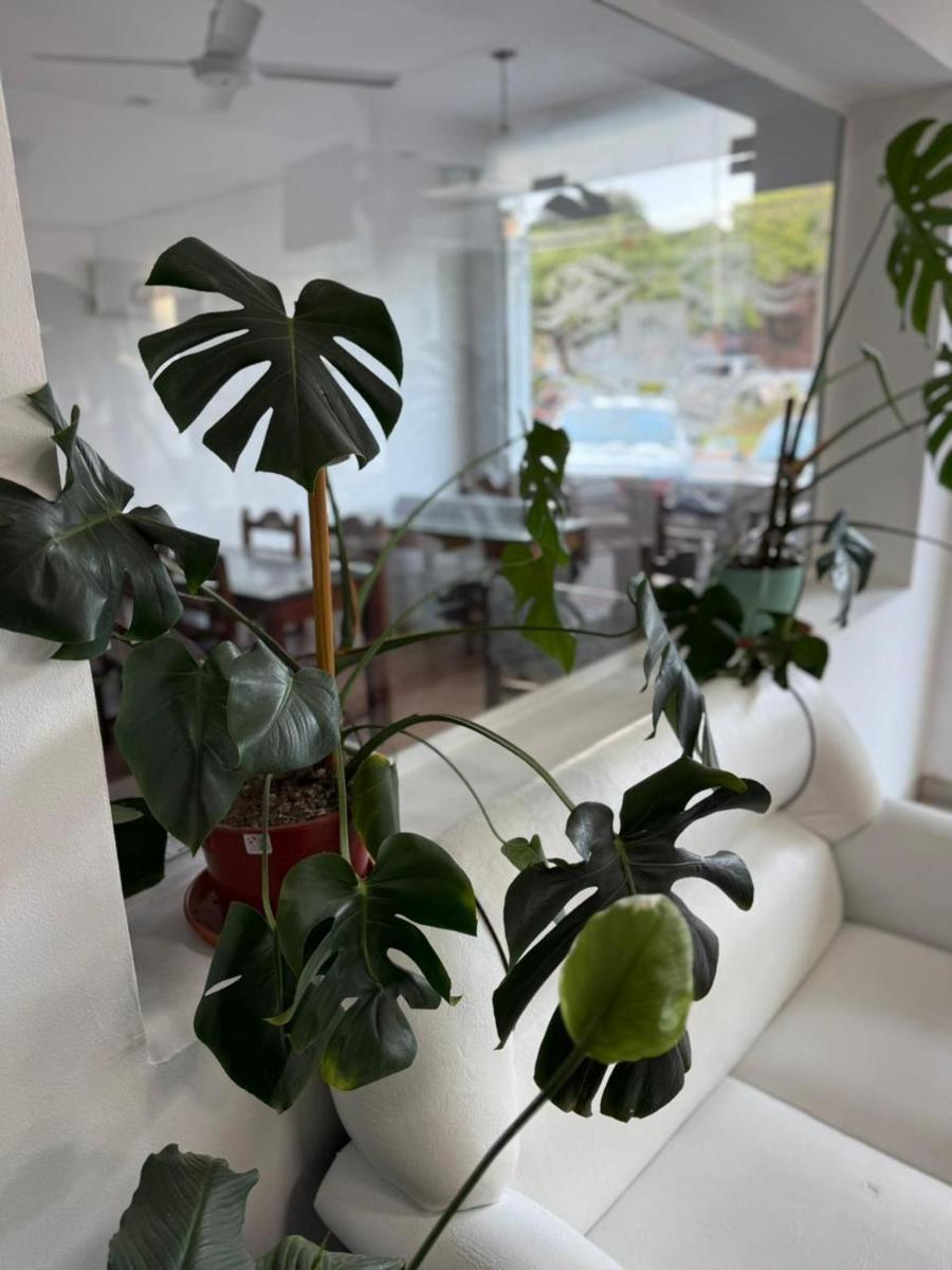 HOTEL DIAMANTE - Housity